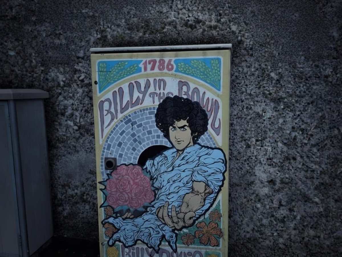 Artwork titled 'Billy in the Bowl' on a Dublin city utility box.