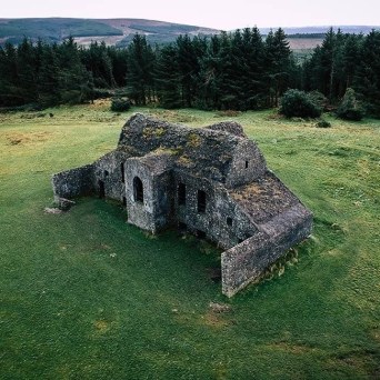 a close up of a lush green field