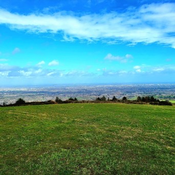 a large green field with trees in the background